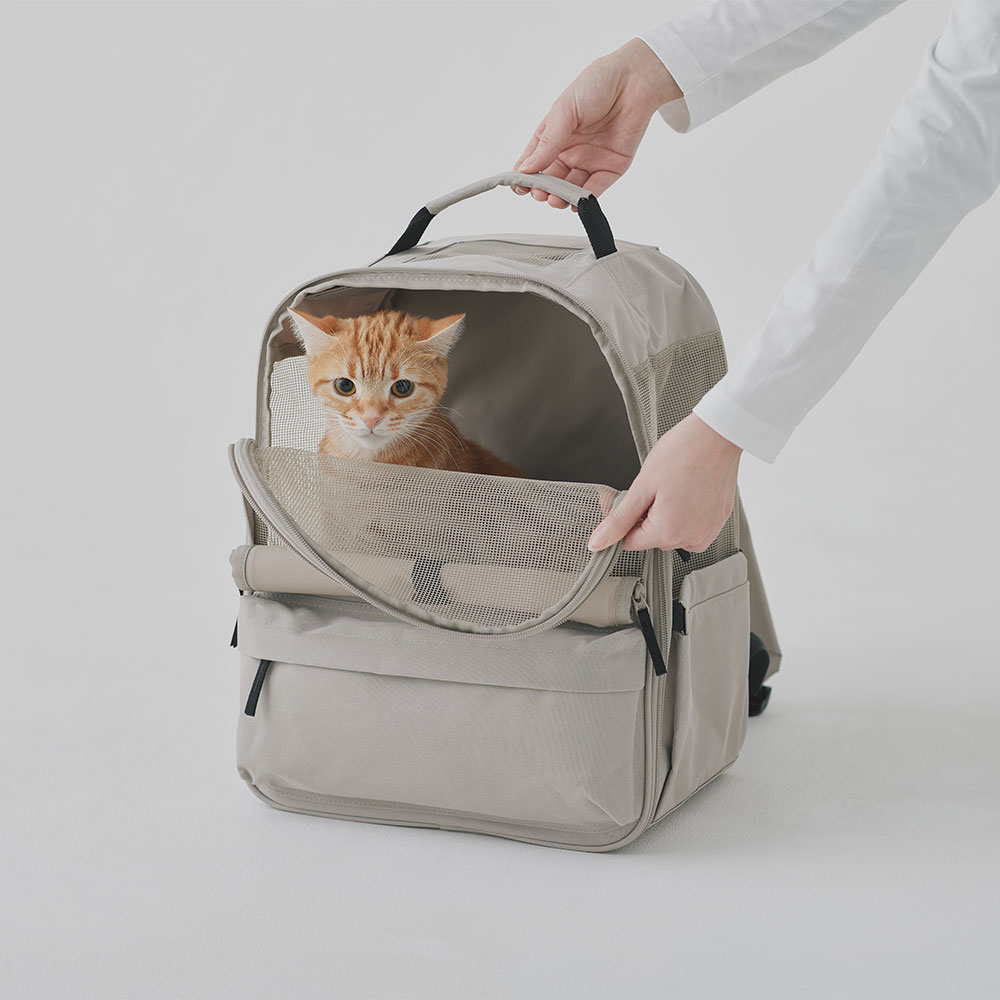 キャリーバッグに猫が入っている様子