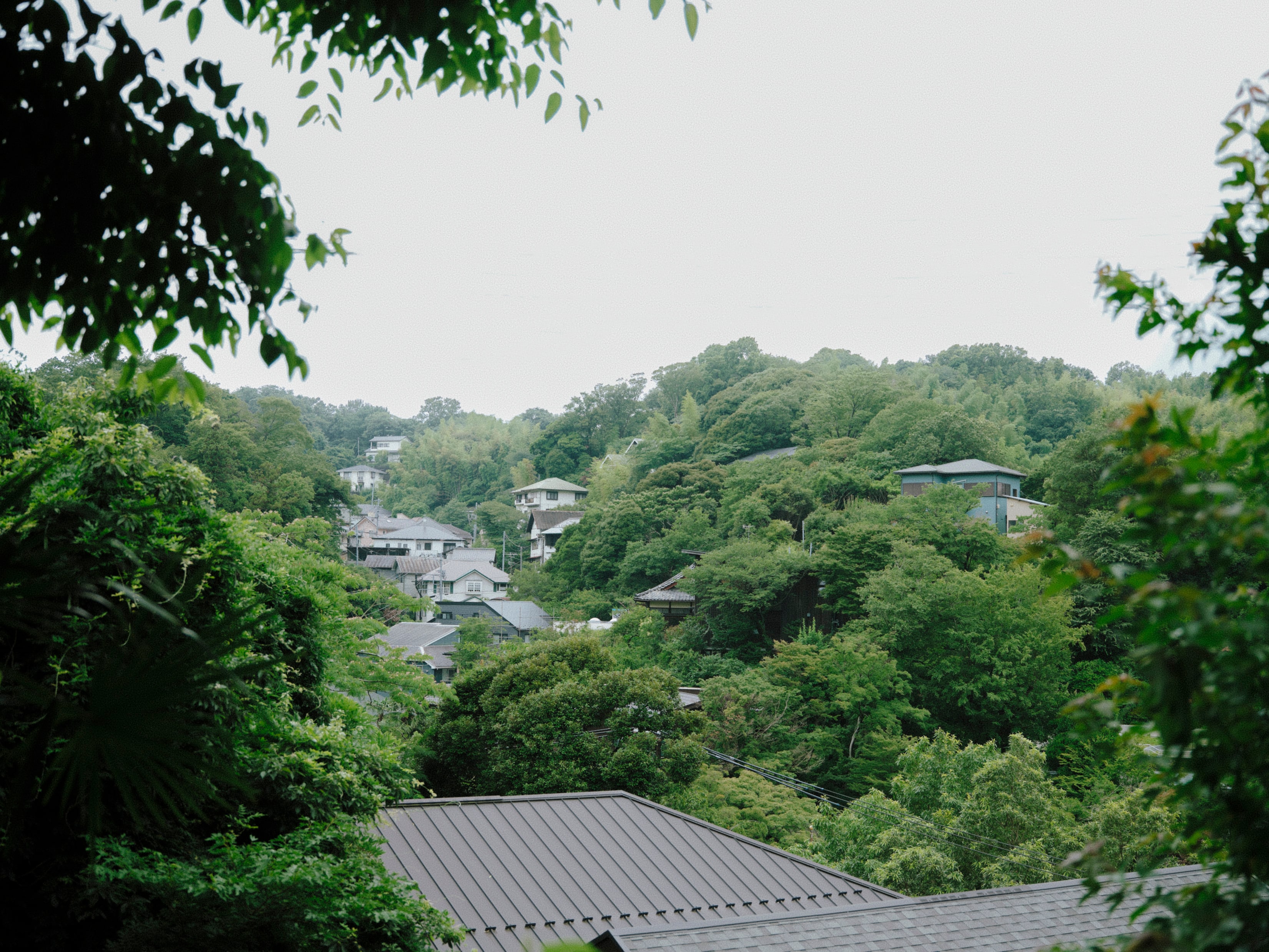 見晴らしのいい丘からの眺め