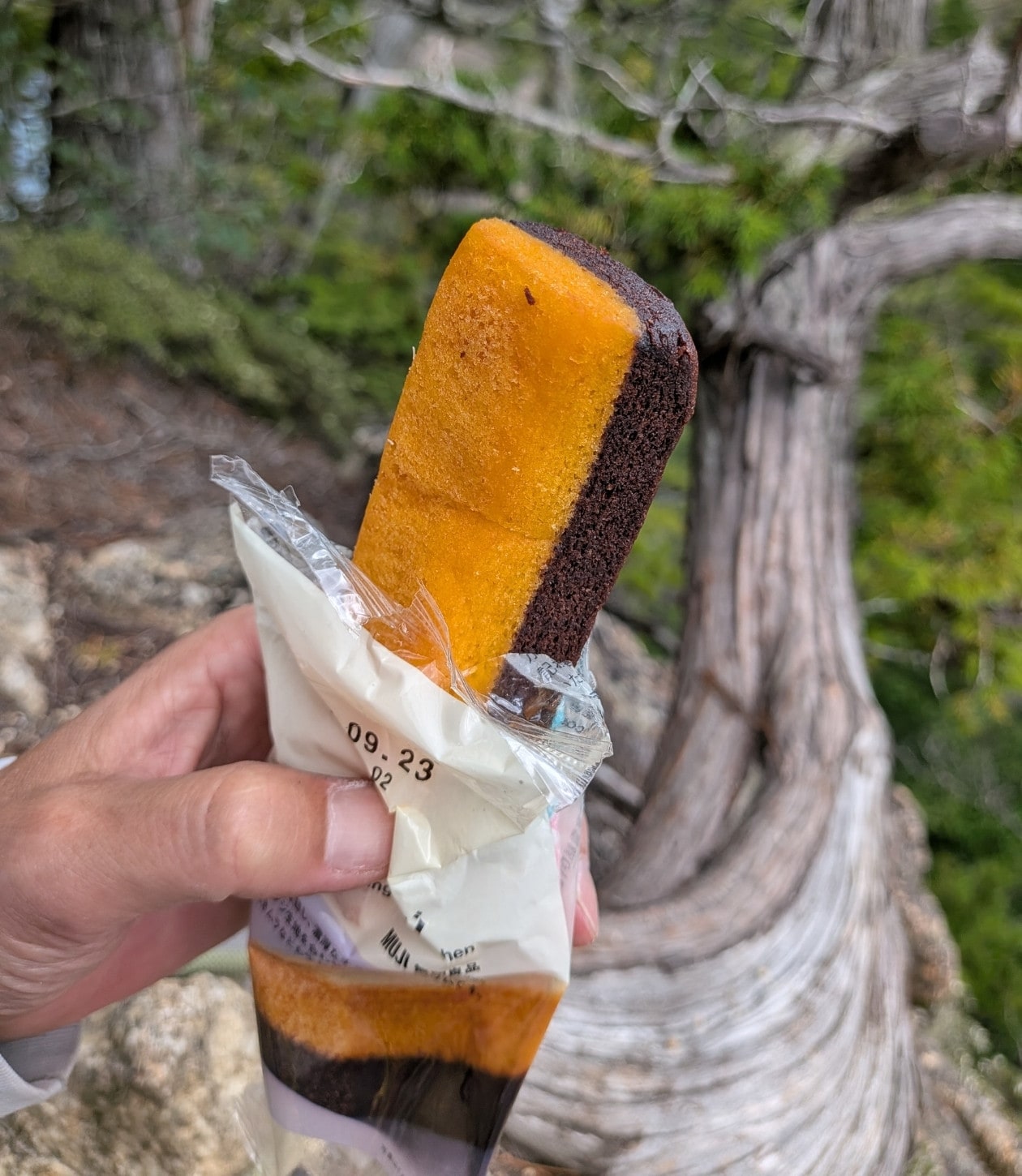 山のプロおすすめ。無印良品で選ぶ、登山やハイキングのおやつ_hkP13k