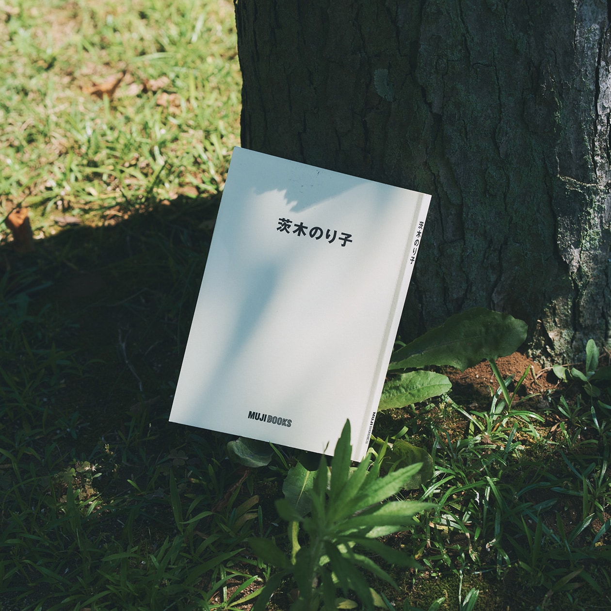 無印良品 MUJI BOOKS 文庫本 人と物5 茨木のり子