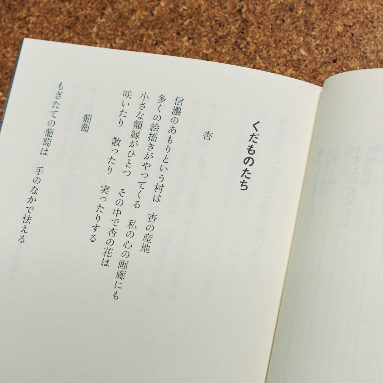 無印良品 MUJI BOOKS 文庫本 人と物5 茨木のり子