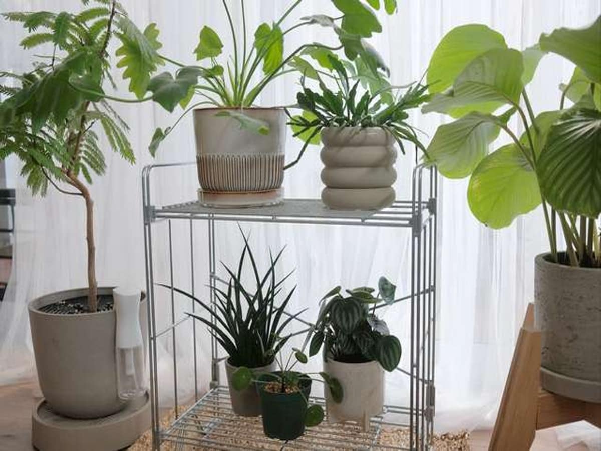無印良品の中でも外でも使えるワイヤーラック