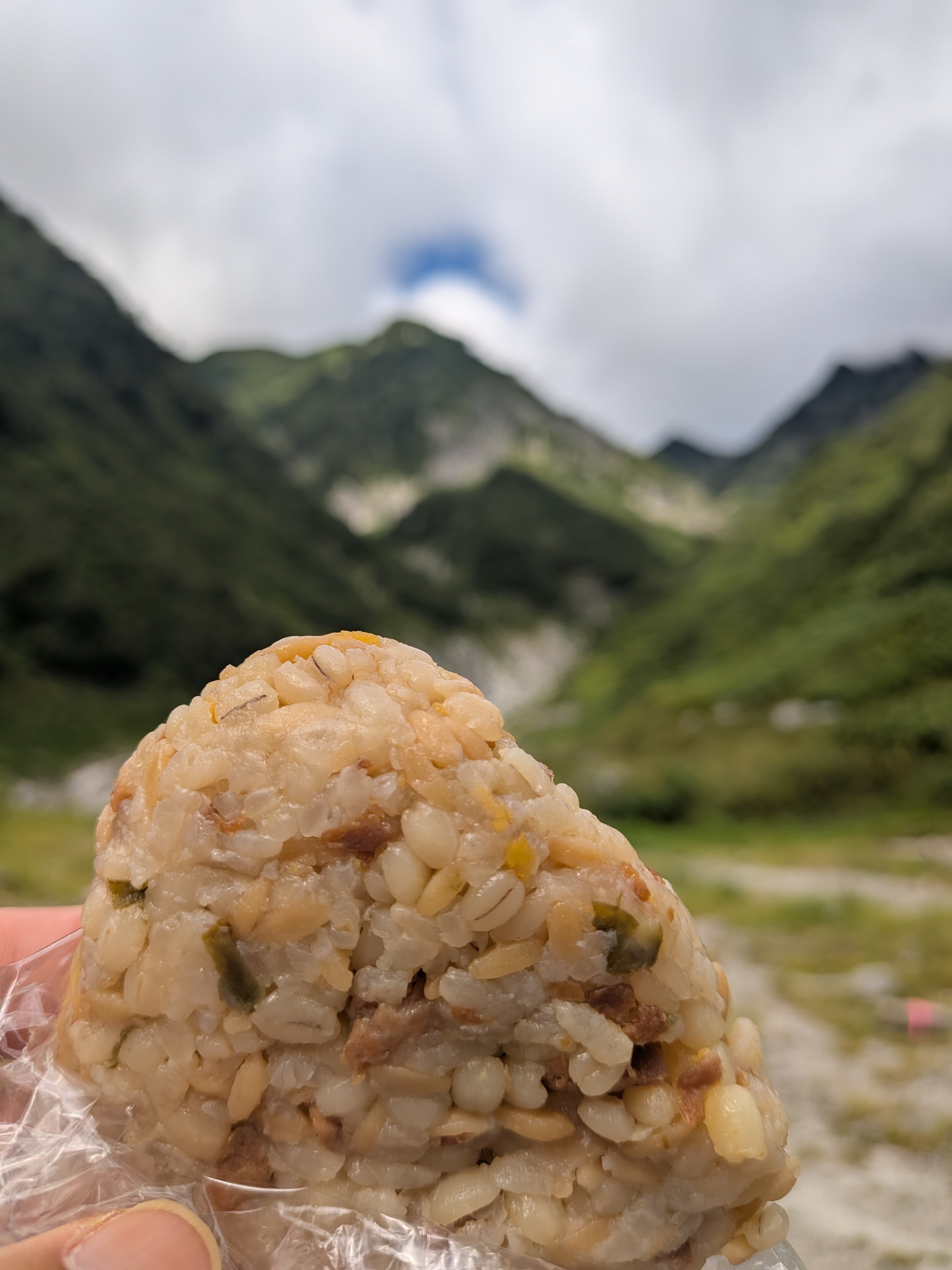 無印良品のたんぱく質がとれるおにぎり 鶏そぼろと玉子