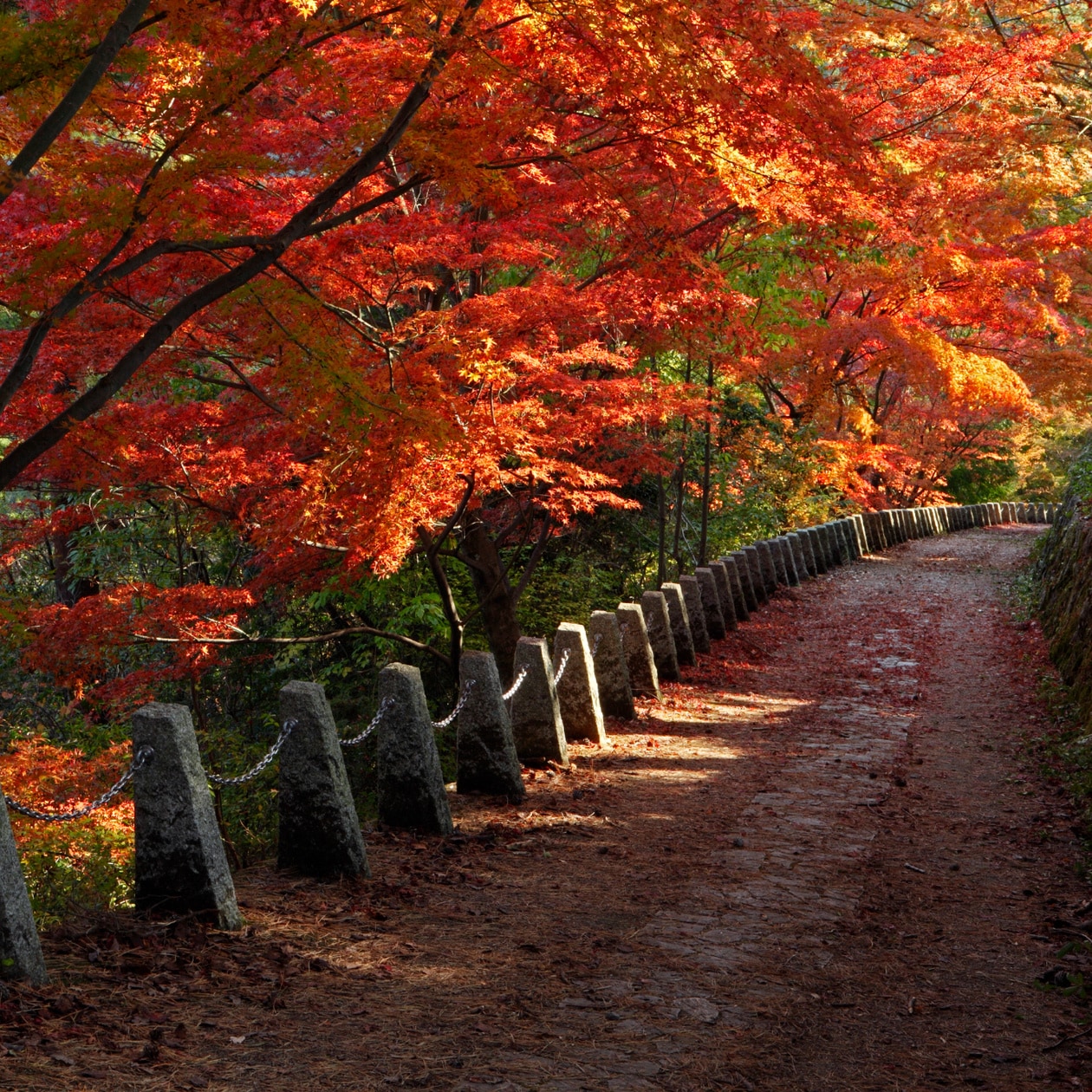 奈良・吉野山の紅葉