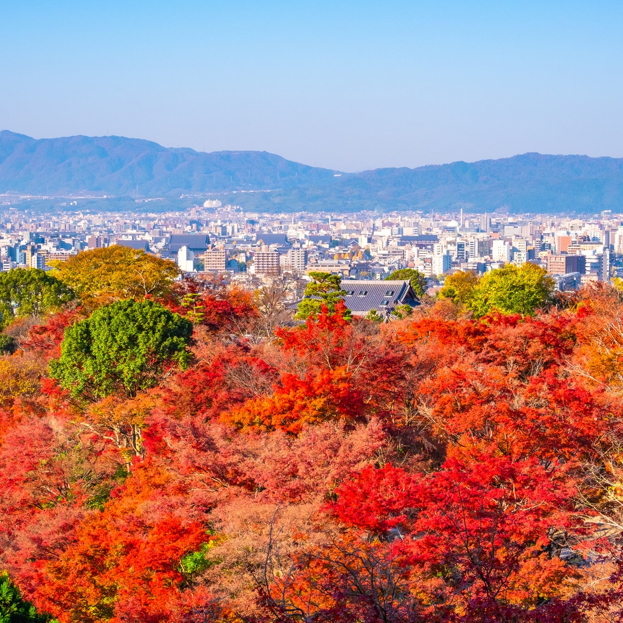 京都・清水寺の紅葉