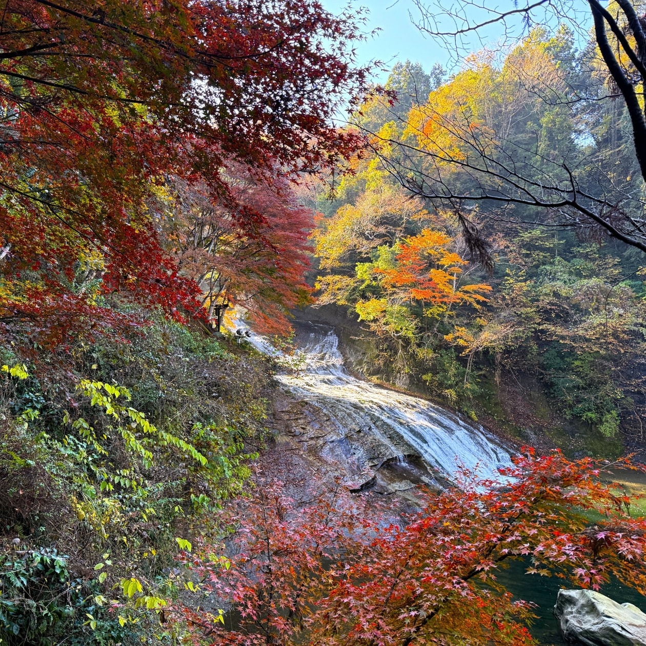 千葉・養老渓谷温泉郷の紅葉
