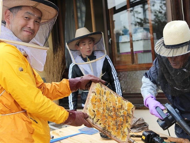 記事内画像：002ミツバチに魅せられ、日本中の養蜂家を訪ねて紡ぐ国産“生”はちみつ