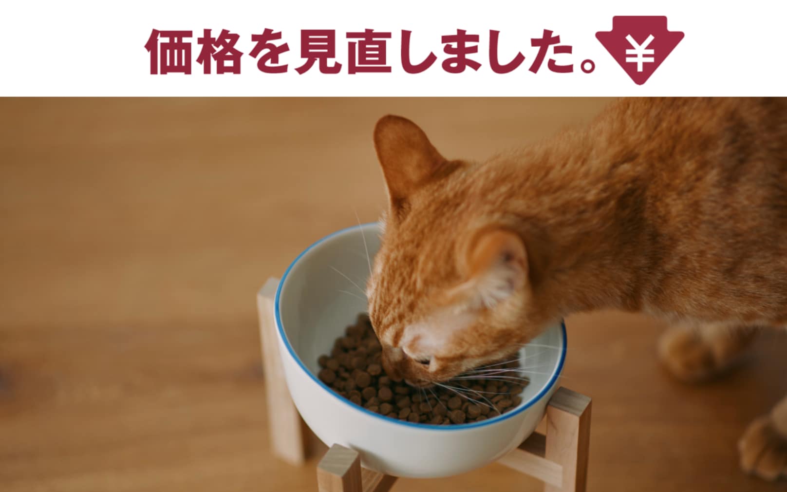 価格を見直しました。
