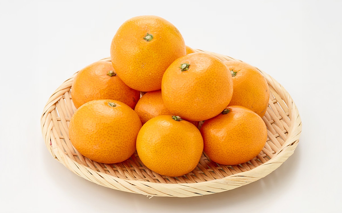 レビューイメージ