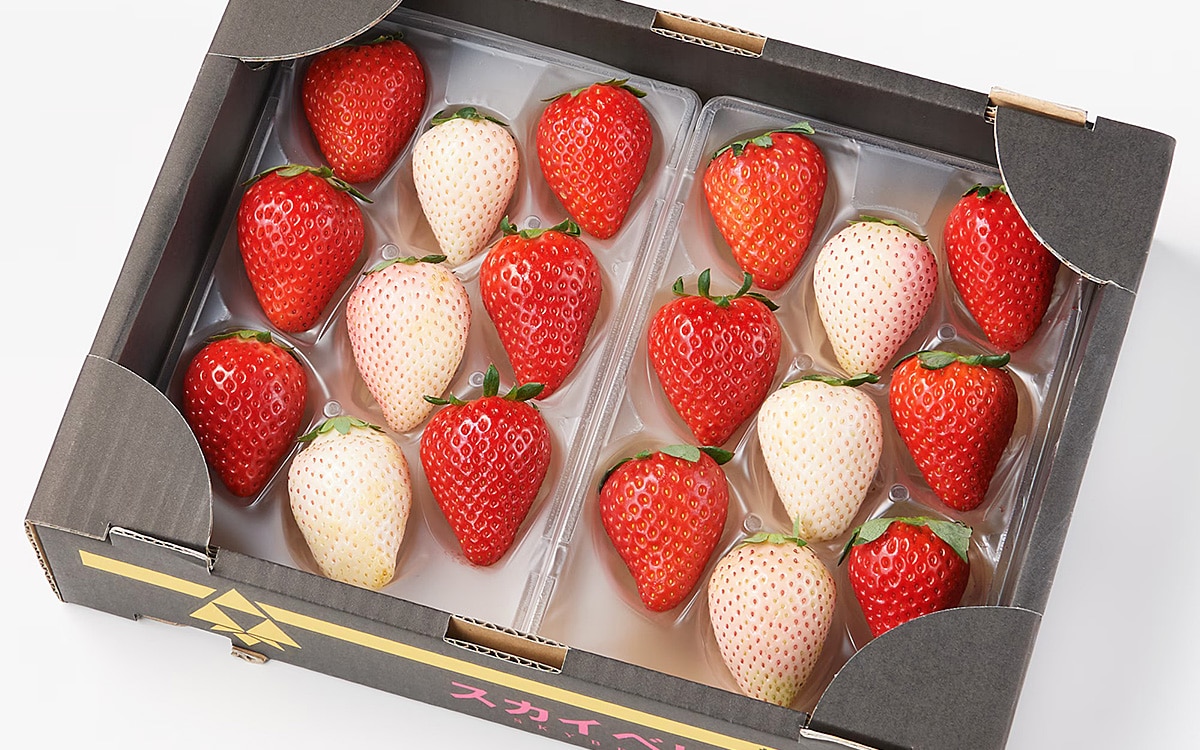 レビューイメージ