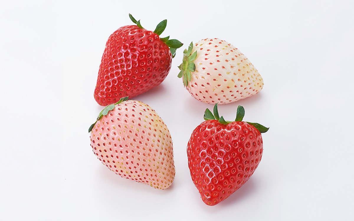 レビューイメージ