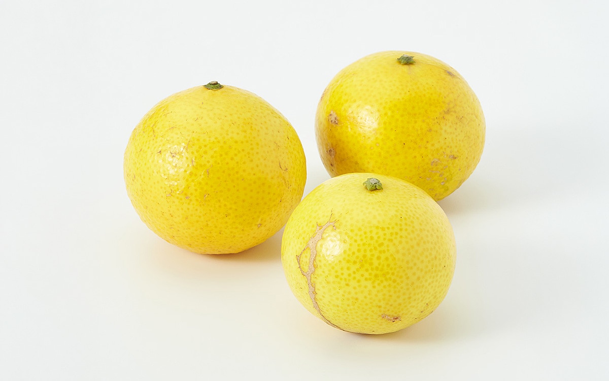 レビューイメージ