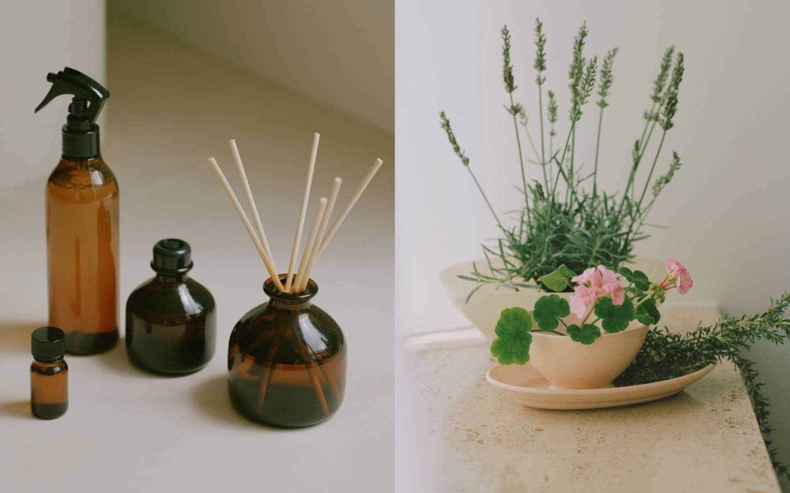 季節の香り、精油の香り