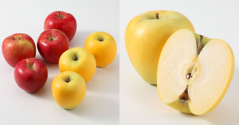 So sánh giữa táo Nhật màu vàng và màu đỏ.