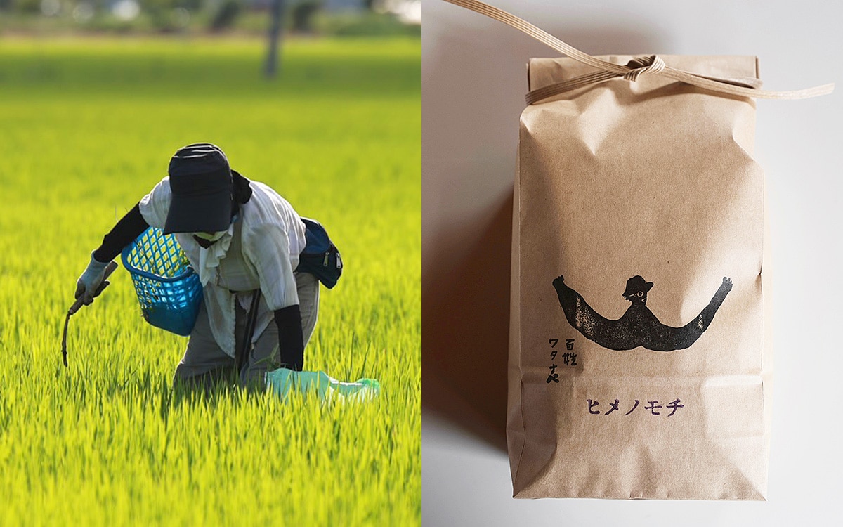手間ひまを惜しまず丁寧に