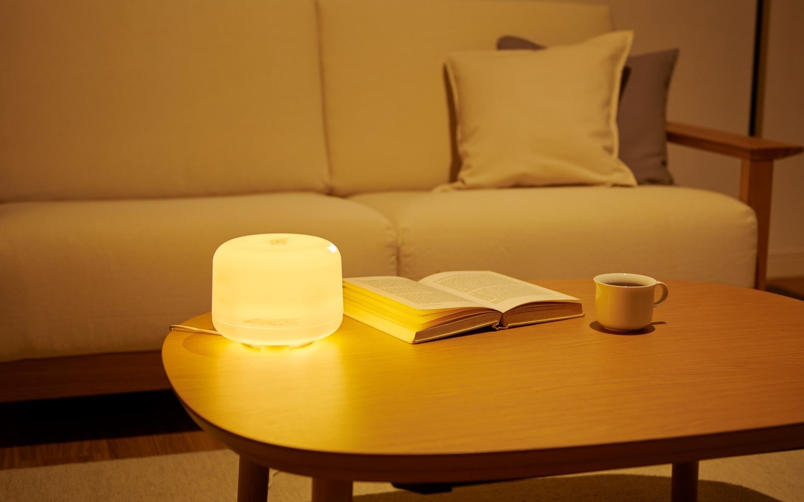 レビューイメージ