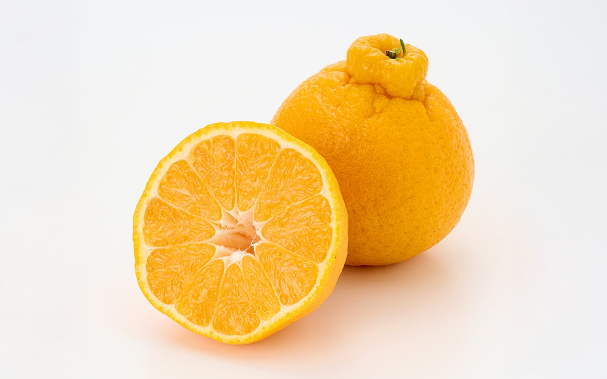 レビューイメージ