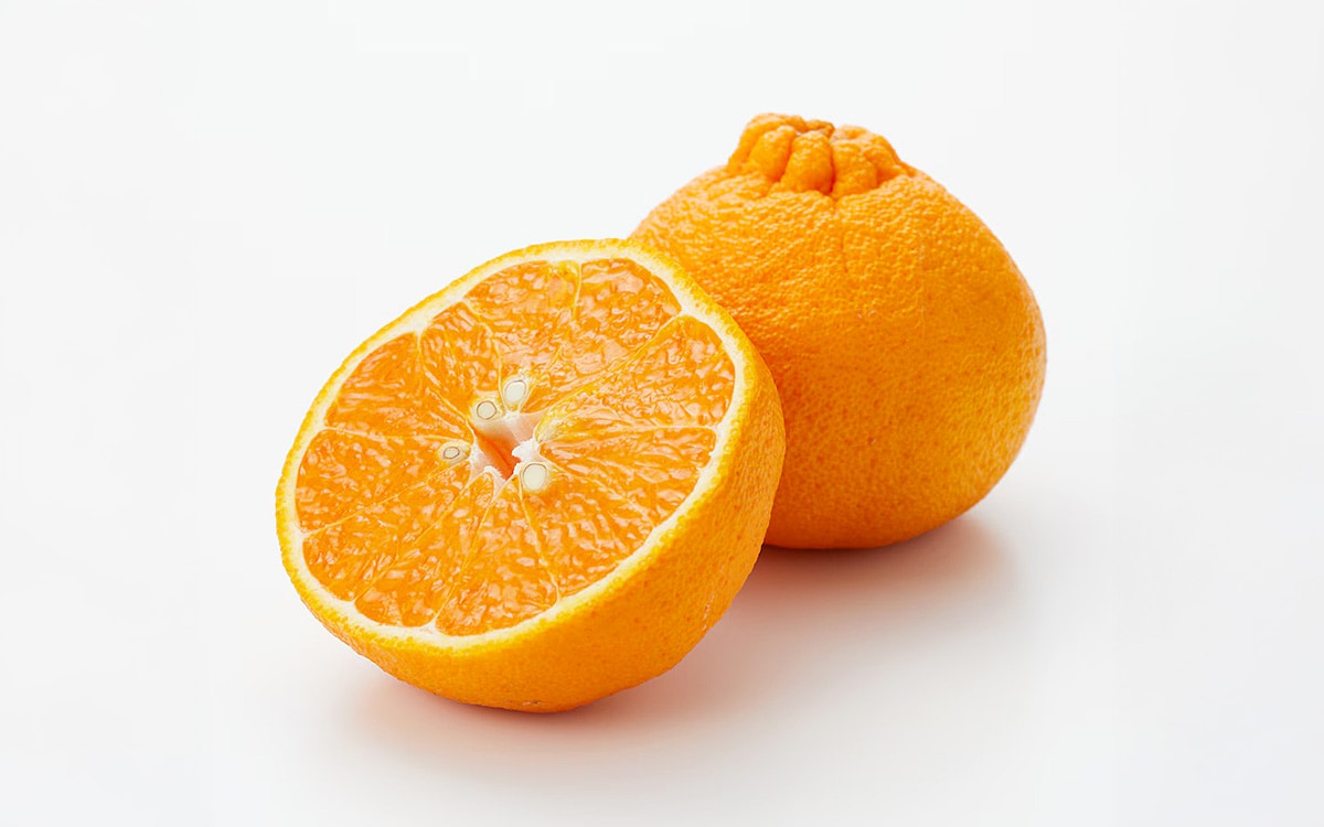 レビューイメージ