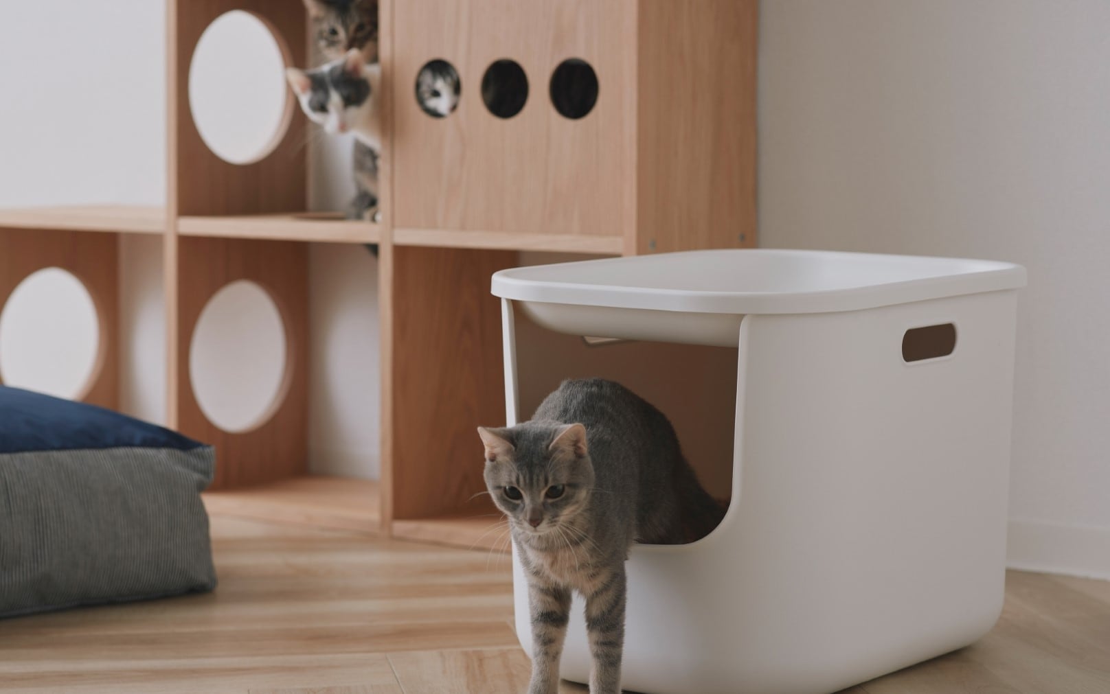 ペットとくつろぐ、無印良品の空間