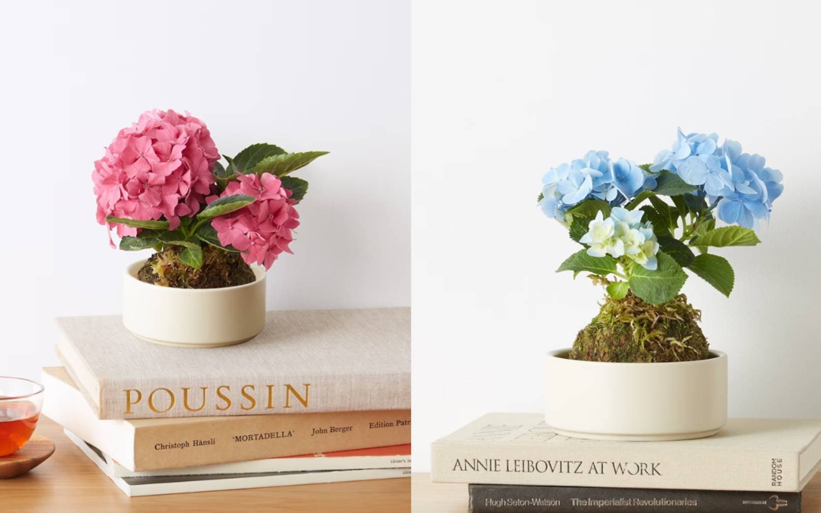 母の日に贈る花のギフト