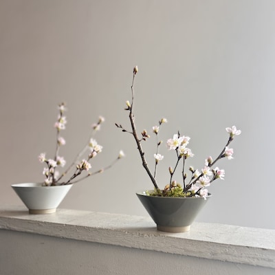 3月7日(土)【季節をじっくり、しつらえワークショップ　-春の訪れ。桜の盆栽風アレンジメント-】