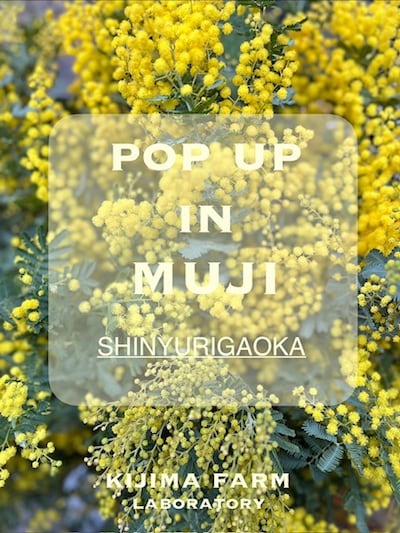 2026.03.08 ミモザの日 POP-UP IN MUJI SHINYURIGAOKA OPA　