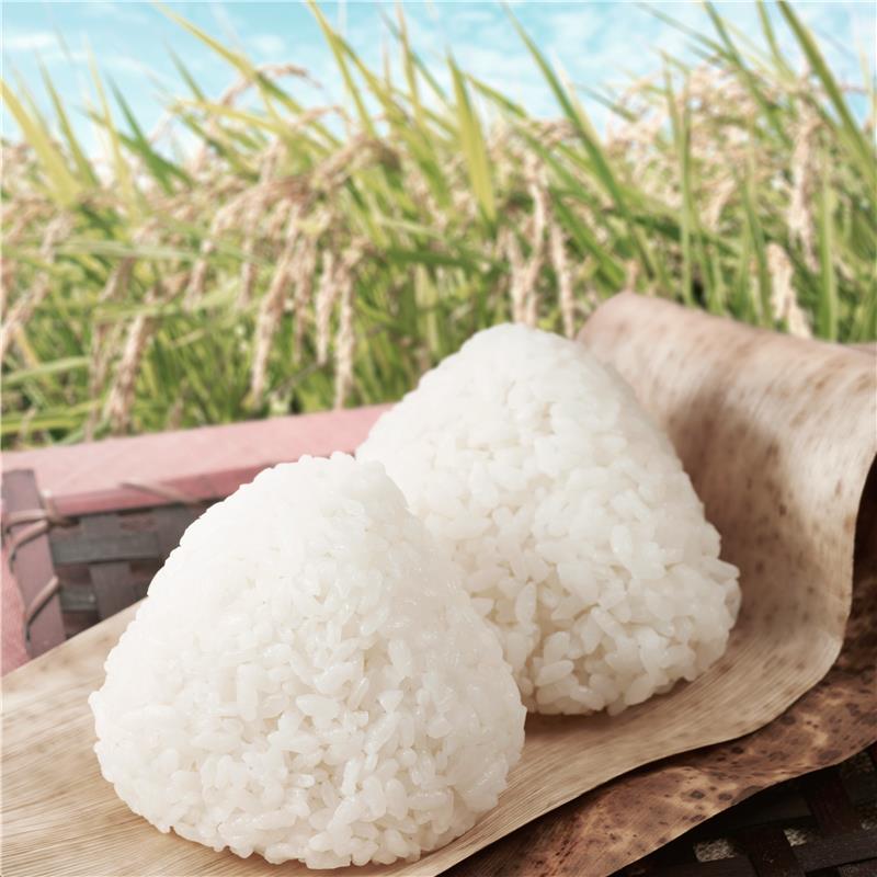 おむすび兄さんがやってくる！お米のことを学ぼう