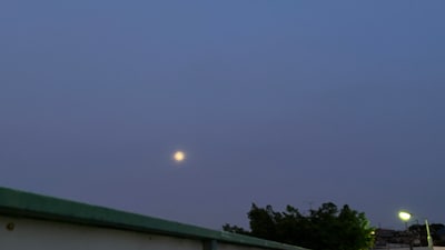 【夏休み特別教室】とうきょうの木と水のひみつ ～みんなの飲み水はどこから来てる？～