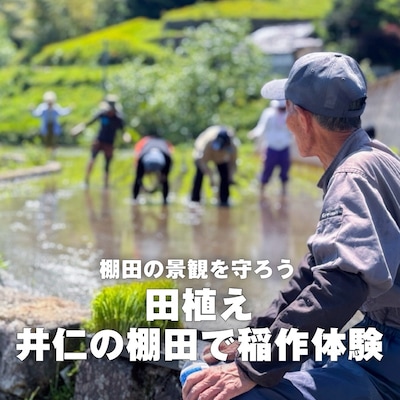 【5月24日】棚田の景色を守ろう｜田植え　井仁の棚田で稲作体験(昼食付）