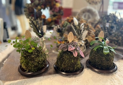 【初心者でも簡単　＊   涼しげな可愛い苔玉作り】