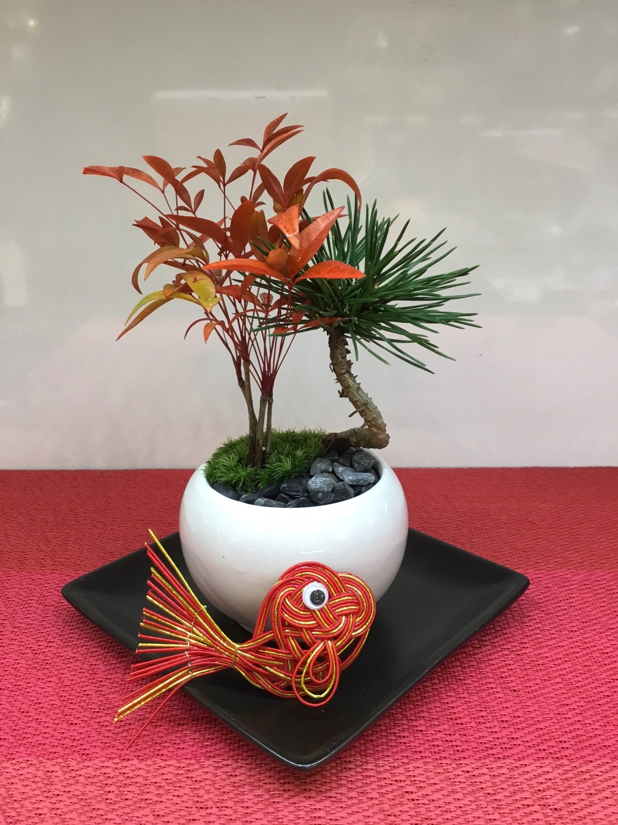 12月21日（日）【迎春盆栽ワークショップ】