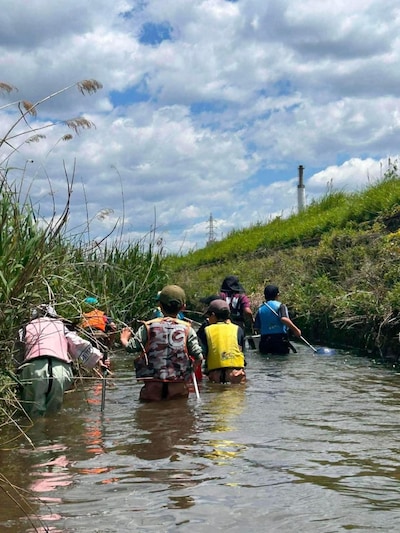 水の生き物についてしろう～