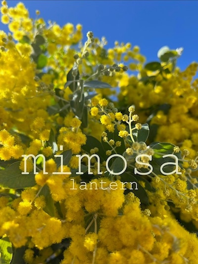 1/17(土)【Creative reuse　Decorative lantern】