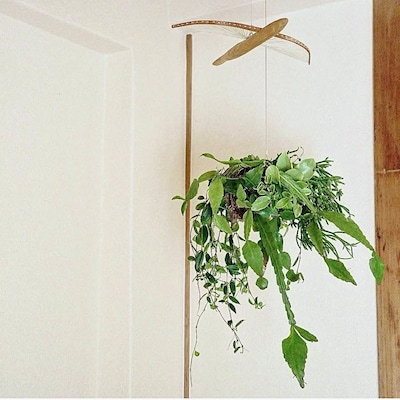 【神戸阪急】4/29(水・祝)『ハンギンググリーンを空間に』