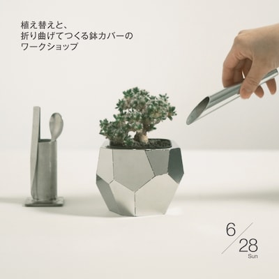 植え替えと、折り曲げてつくる鉢カバーのワークショップ
