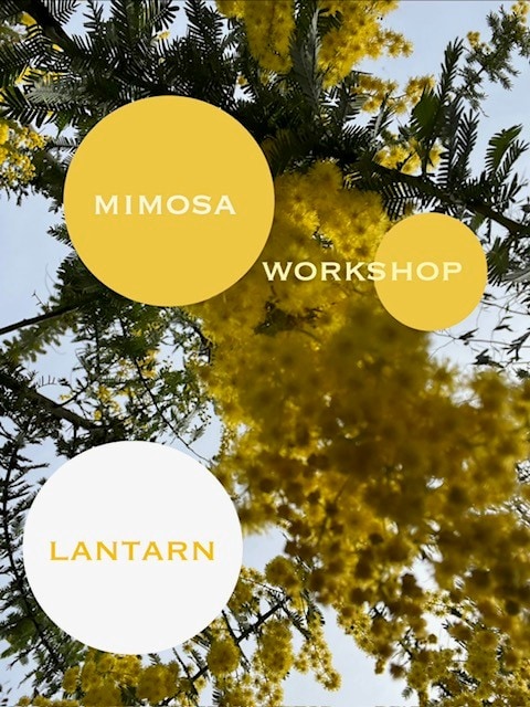 1月25日(日) kijima farmオリジナル①デコラティブランタン  　