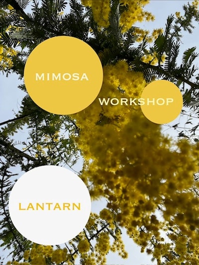 1月25日(日) kijima farmオリジナル①デコラティブランタン  　