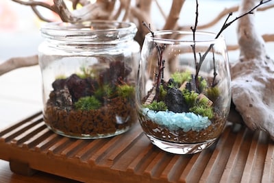 【直江津】コケリウム作りのワークショップ｜くらしのおくりもの vol.5