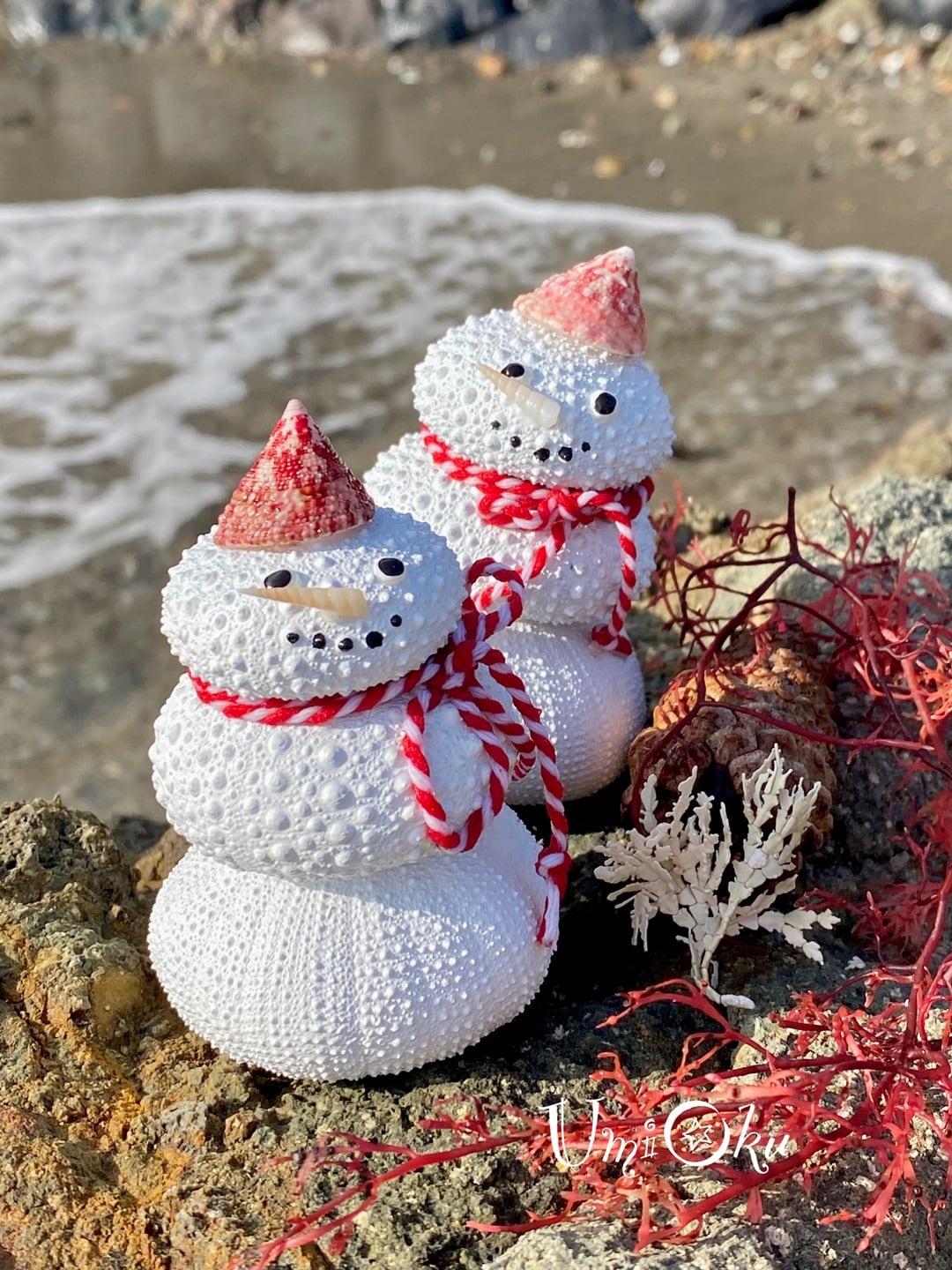 『海からの贈りもの展vol.13』