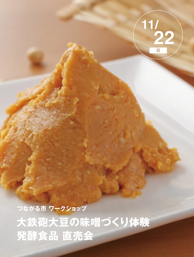 【11/22(日)】大和大鉄砲大豆の味噌づくり｜つながる市ワークショップ
