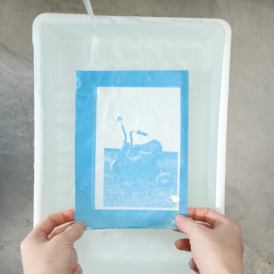 【京都山科】サイアノタイプで絵葉書をつくろう！ワークショップ