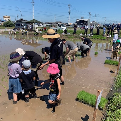 田んぼの学校2026