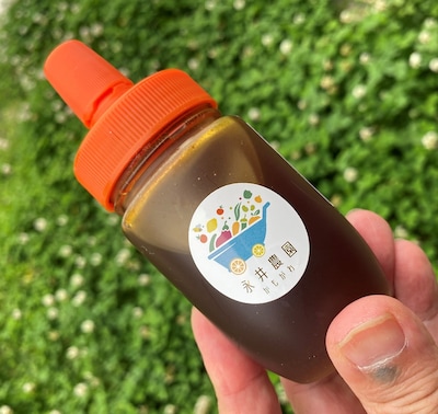 養蜂講座・日本ミツバチを育ててみよう