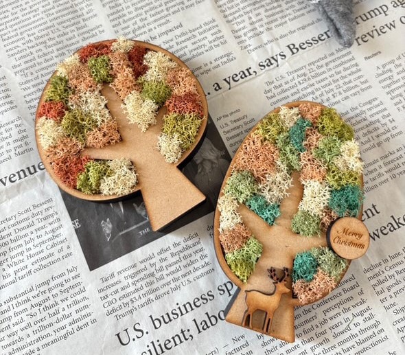 【天童長岡】スカンディアモスワークショップ　木枠のツリー