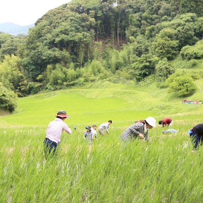6月の里山を楽しむ体験！棚田のお手入れ＆食器づくり体験
