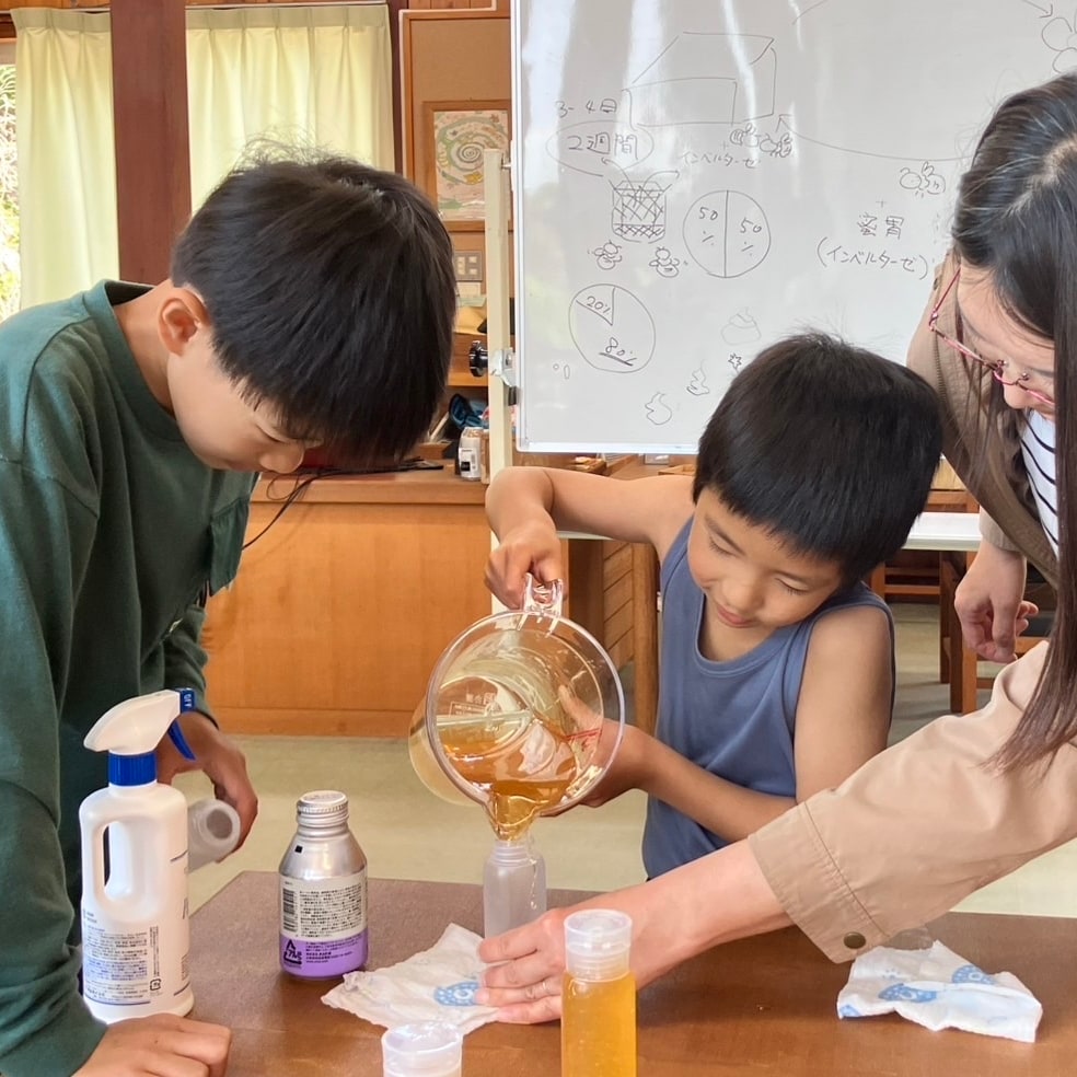 夏休み限定　はちがっこ
