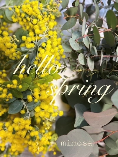 2/14(土)【kijima farm１年に一度の出逢いミモザのワークショップ】