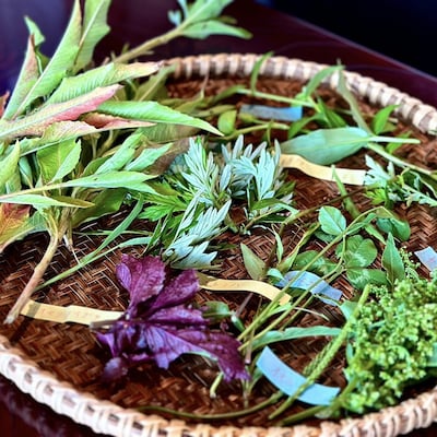 旬の野草を食す 「おいしい雑草講座」