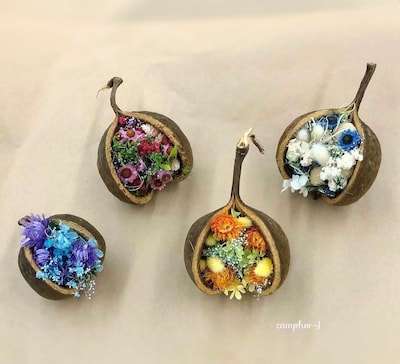 【幸せを呼び込むブッタナッツアレンジフラワー】