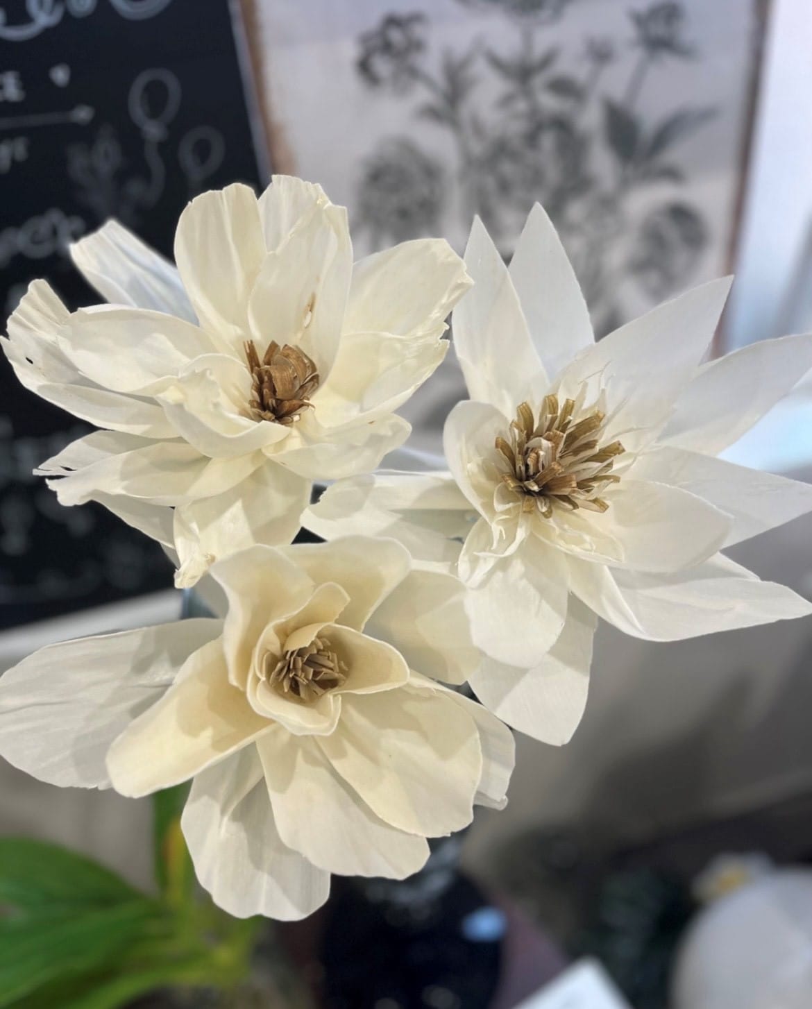 【ソラクラフト＊自分だけの好きなお花を作ろう】